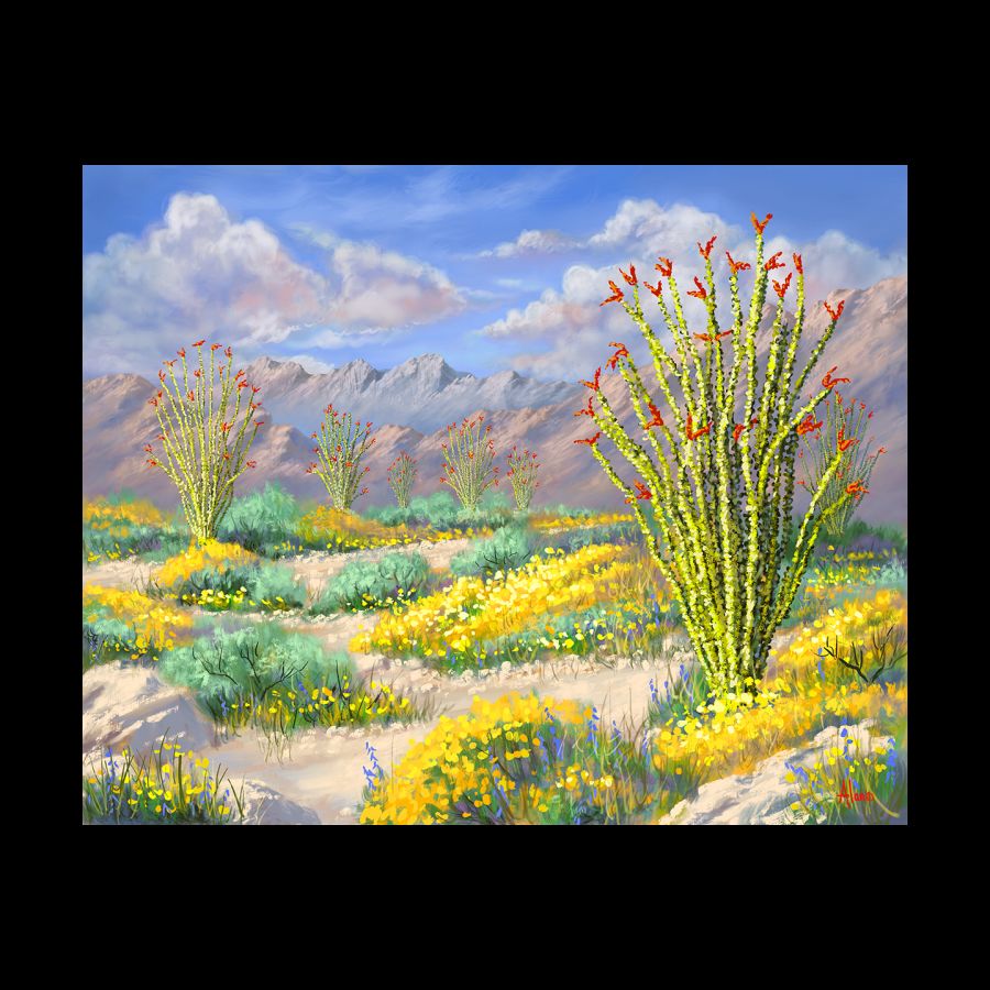 Ocotillo Bouquet